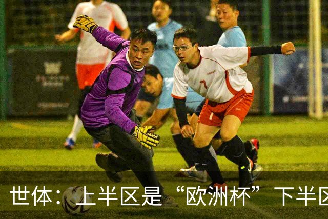 世体：上半区是“欧洲杯”下半区是“美洲杯”，英阿大战太迷人