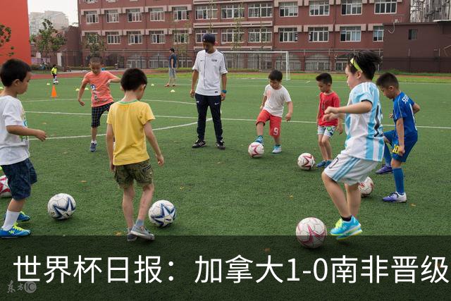 世界杯日报：加拿大1-0南非晋级创历史 韩国主帅洪明甫下课