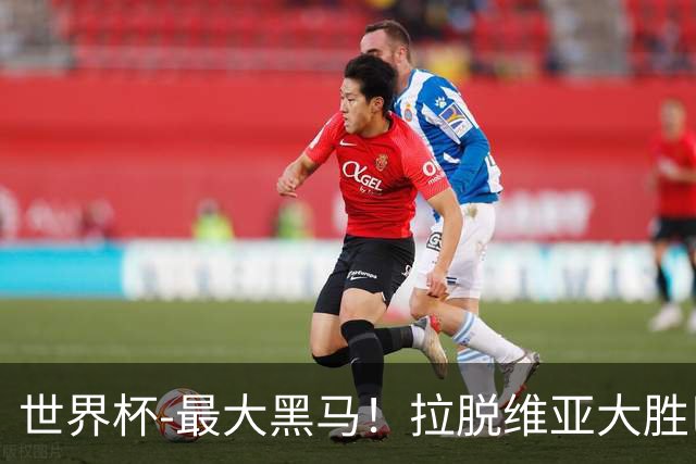 世界杯-最大黑马！拉脱维亚大胜巴西晋级八强