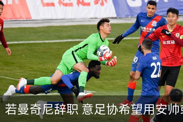 若曼奇尼辞职 意足协希望用安帅或卡纳瓦罗替代