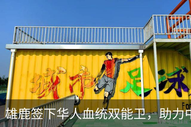 雄鹿签下华人血统双能卫，助力中国男篮归化新目标，疑似孙氏后裔
